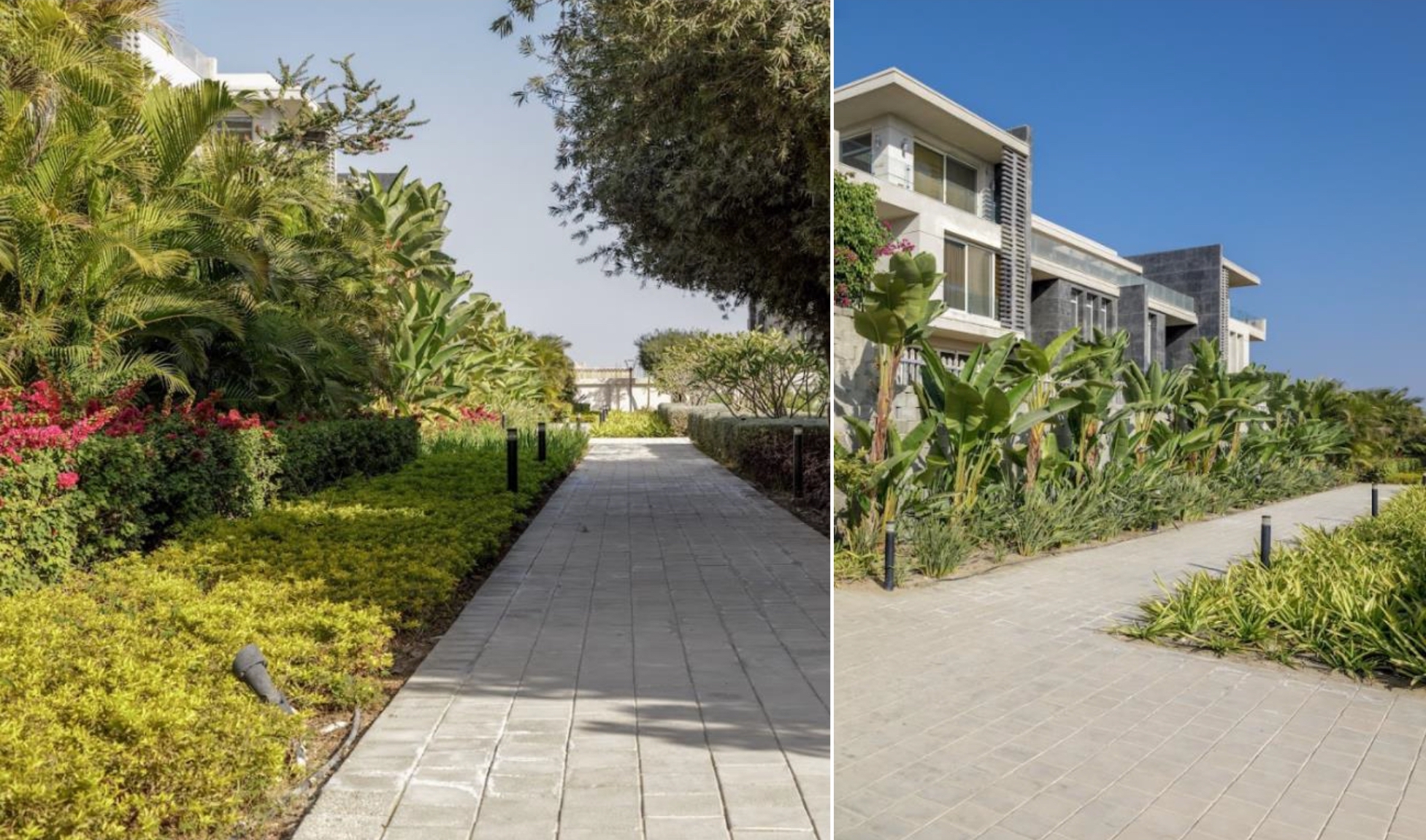 BOTANICA LANDSCAPES – Portfolio – 22