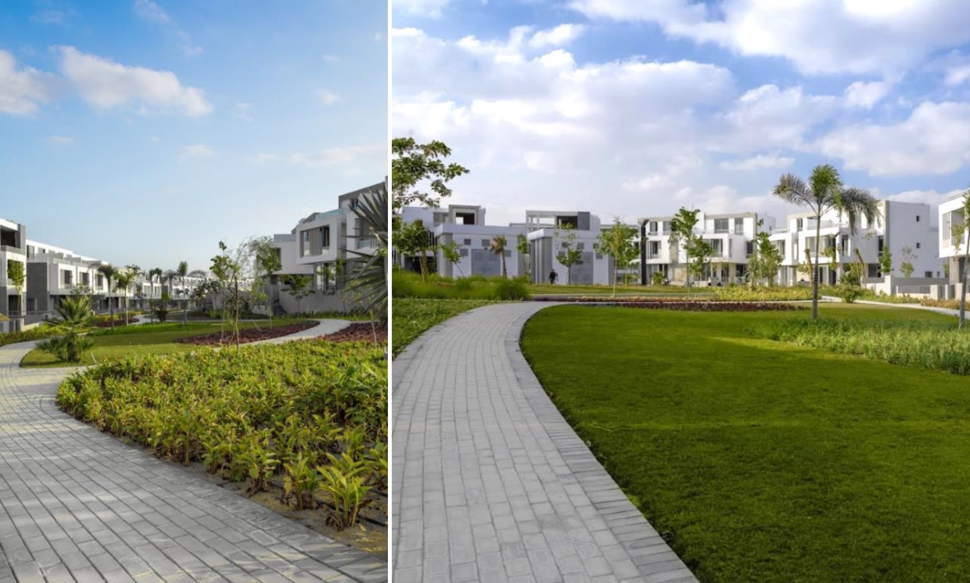 BOTANICA LANDSCAPES - Portfolio - Joulz Compound landscape project (design and build)